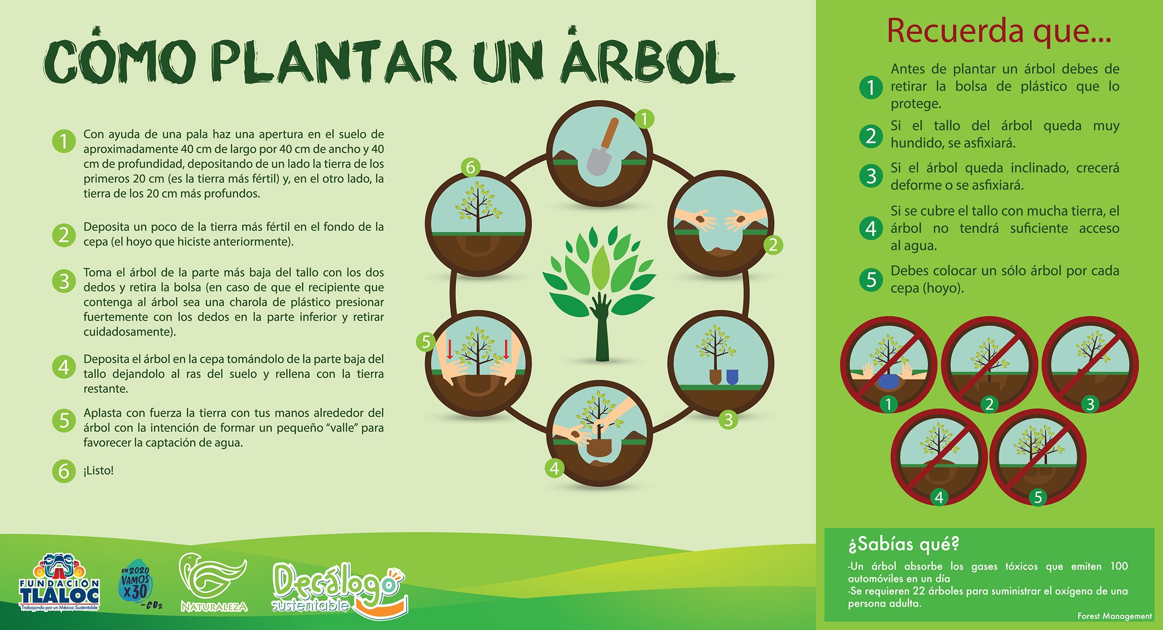 Reforestaciones - Escudo Social